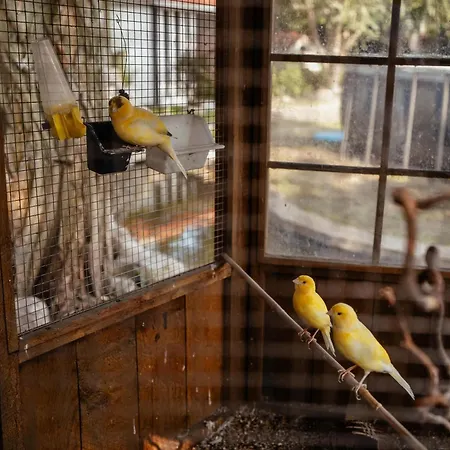 Appartement Muensterland Oase