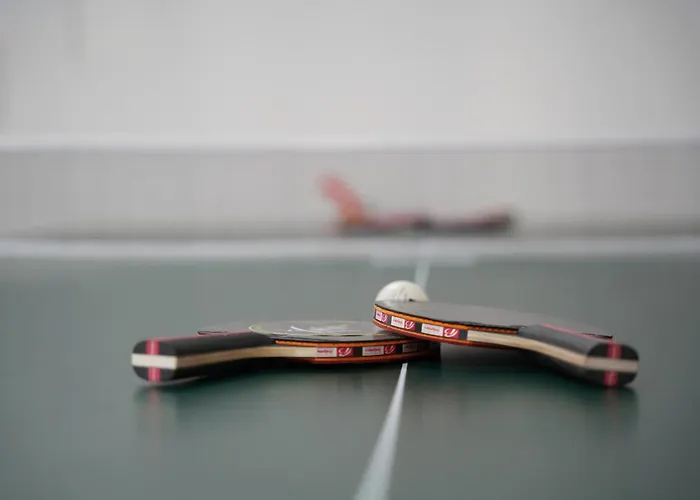 Muensterland Oase مونستر